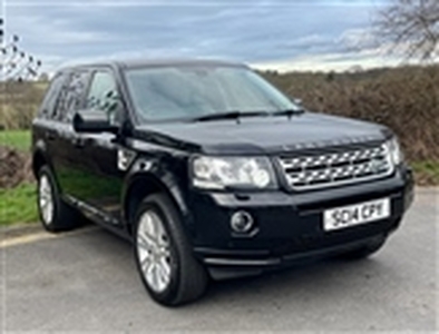 Used 2014 Land Rover Freelander 2.2 SD4 HSE Lux SUV 5dr Diesel CommandShift 4WD Euro 5 (190 ps) in Cuffley