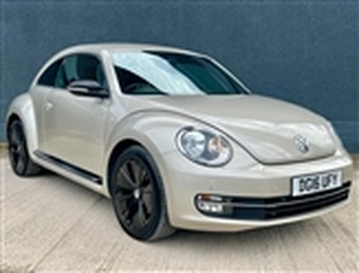 Used 2016 Volkswagen Beetle 2.0 TDI BlueMotion Tech Sport in Chesterfield