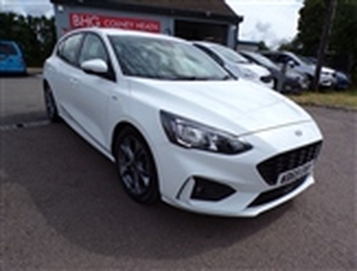 Used 2019 Ford Focus in Greater London