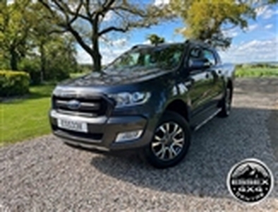 Used 2019 Ford Ranger 3.2 WILDTRAK 4X4 DCB TDCI AUTOMATIC in Hockley