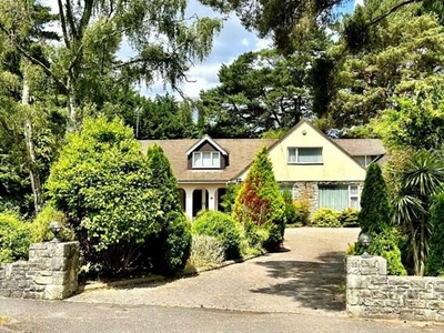 5 Bedroom Chalet For Sale In Ashley Heath