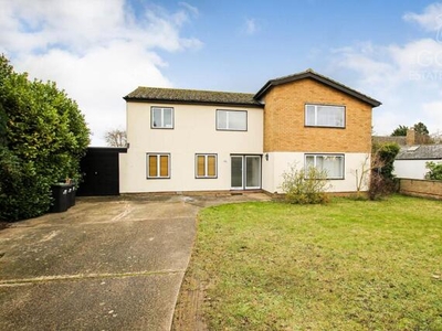 5 Bedroom Detached House For Sale In Fordham