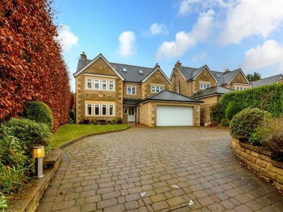 6 Bedroom Detached House For Sale In Dore