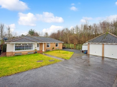 Bungalow for sale in Innerleithen Way, Perth, Perthshire PH1