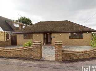 Detached bungalow to rent in Lake Avenue, Billericay CM12