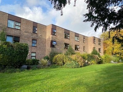 1 Bedroom Apartment For Sale In Hazelwood Road, Sneyd Park