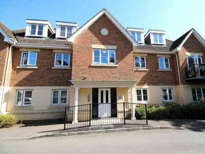 1 Bedroom Shared Living/roommate Surrey Hampshire