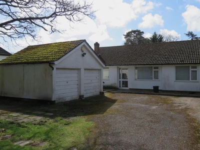 Detached bungalow for sale in Forest Road, Thorney Hill, Bransgore, Christchurch BH23