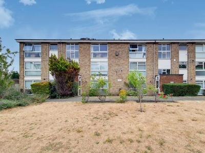 1 Bedroom Flat For Rent In Bromley