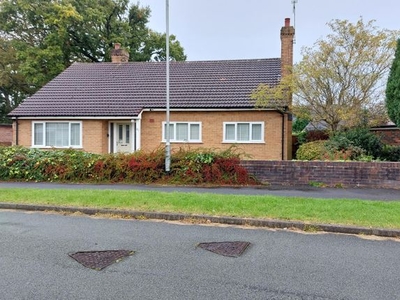 Detached bungalow to rent in Kings Drive, Wistaston, Crewe CW2