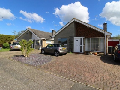 Detached bungalow to rent in Lawrence Gardens, Herne Bay CT6