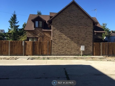 Detached house to rent in Cherry Hinton Road, Cambridge CB1