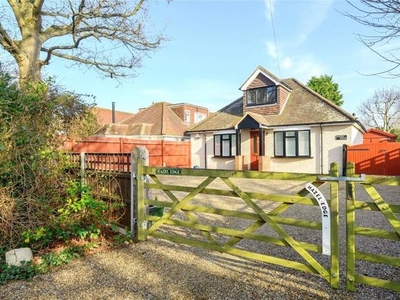 Detached house to rent in Scotts Grove Road, Chobham, Woking GU24