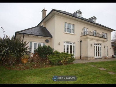 Detached house to rent in The Elms, Bath BA1