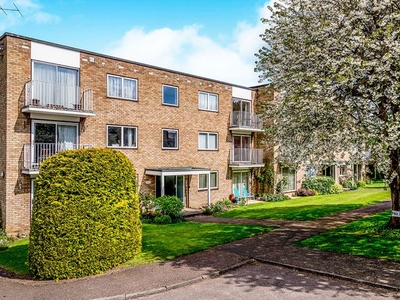 Flat to rent in The Maples, Hitchin, Hertfordshire SG4
