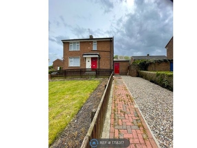 Semi-detached house to rent in Woodhead Road, Prudhoe NE42