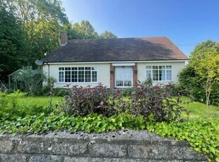 Detached bungalow to rent in Sough Hill, Caldwell, Richmond DL11