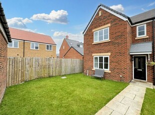 Detached house to rent in Marigold Way, Morpeth NE61