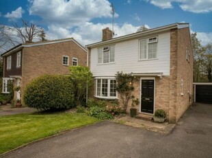 Semi-detached house to rent in Overford Drive, Cranleigh GU6