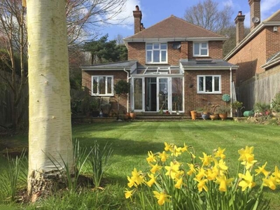3 Bedroom Detached House For Sale In Southborough