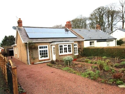 3 Bedroom Semi-detached House For Sale In Northumberland