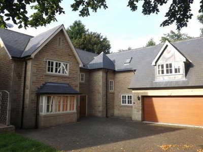 5 Bedroom Detached House For Rent In Mansfield, Nottinghamshire