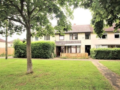 6 Bedroom Terraced House For Sale In Cambridge