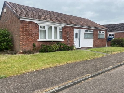 Bungalow to rent in Hall View, Mattersey, Doncaster DN10