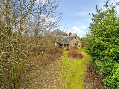 Bungalow for sale in Petersfield Road, Monkwood, Alresford, Hampshire SO24