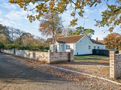 Detached bungalow for sale in Fen Street, Redgrave, Diss IP22