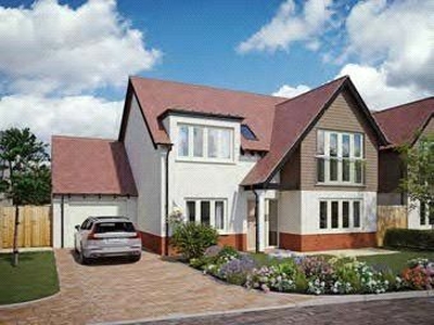 Detached house for sale in Orcombe Gardens, Exmouth, Devon EX8
