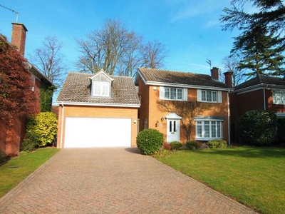 Detached house to rent in Falmouth Gardens, Newmarket CB8