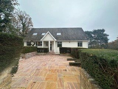 Detached house to rent in Mill Lane, Little Baddow, Chelmsford, Essex CM3