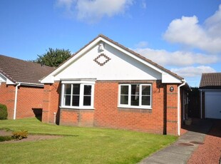 Bungalow to rent in Kingswell, Morpeth NE61
