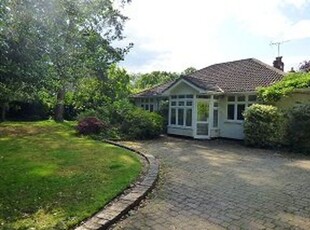 Bungalow to rent in Lower Road, Great Bookham, Bookham, Leatherhead KT23