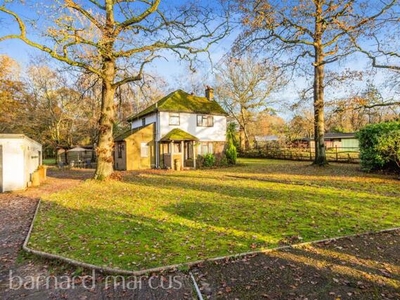 3 Bedroom Detached House For Sale In Ockley
