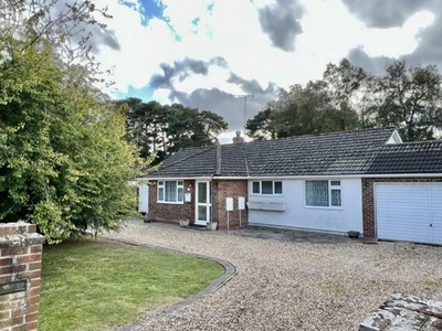 3 Bedroom Bungalow For Sale In Ashley Heath