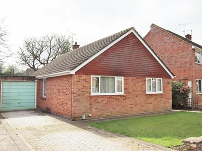 3 Bedroom Detached Bungalow For Sale In Farnborough