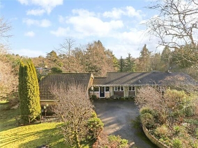 4 Bedroom Bungalow For Sale In Farnham, Surrey