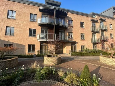 2 Bedroom Shared Living/roommate Surrey Great London