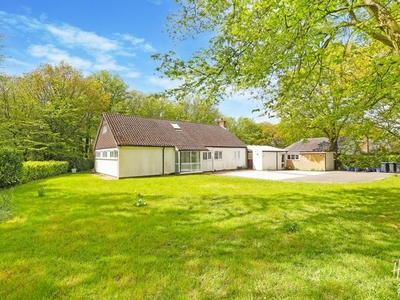 Detached bungalow for sale in Rye Hill Road, Harlow CM18