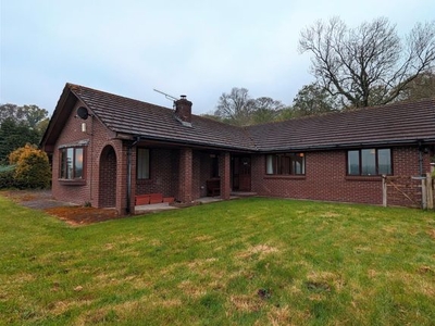 Detached bungalow to rent in Longtown, Hereford HR2