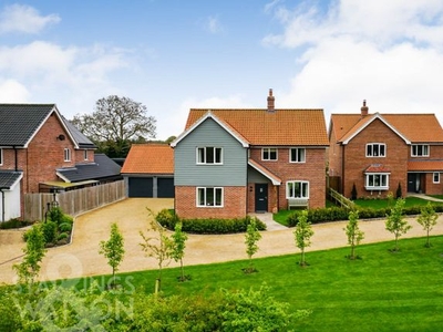 Detached house for sale in Watermill Rise, Tasburgh, Norwich NR15