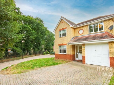 Detached house to rent in Asquith Drive, Highwoods, Colchester, Essex CO4