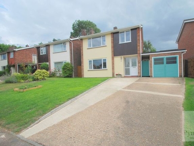 Detached house to rent in Ebbisham Drive, Norwich NR4