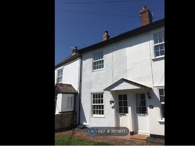 Terraced house to rent in Belgrave Terrace, Exeter EX5