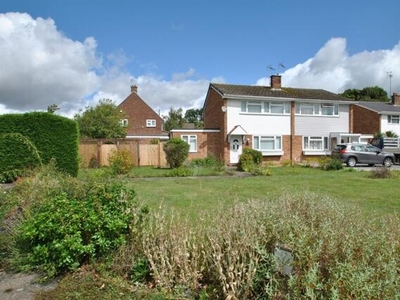 3 Bedroom Semi-detached House For Sale In Gosfield, Halstead