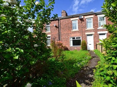 3 Bedroom Terraced House For Rent In Gosforth