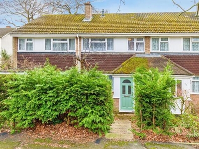 3 Bedroom Terraced House For Sale In Southampton, Hampshire