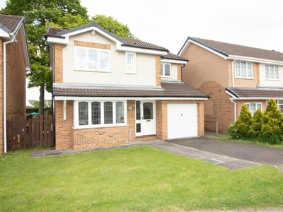 4 Bedroom Detached House For Rent In Gosforth